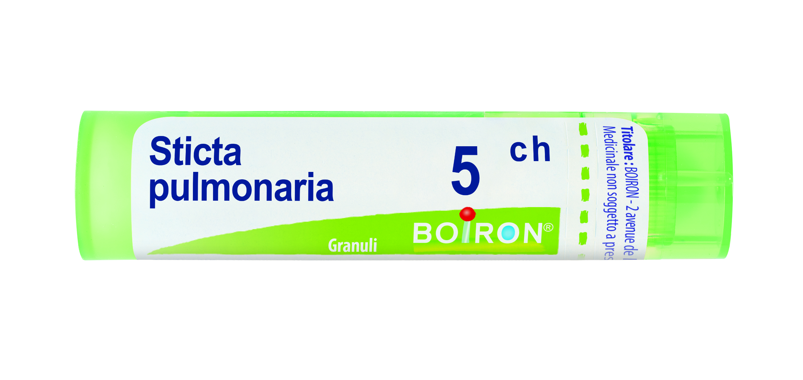 STICTA PULM BOI*5CH GR 4G - farmanauta.it