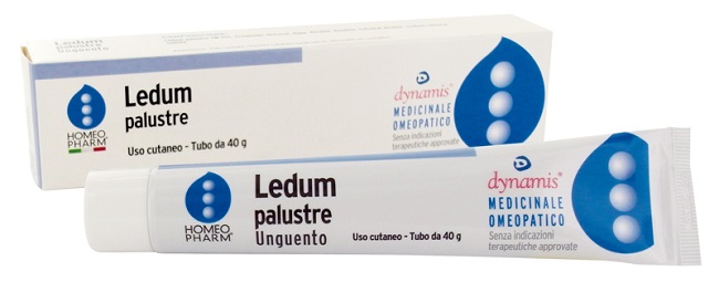 LEDUM PALUSTRE HOMEOPHARM UNGUENTO 40 G - farmanauta.it
