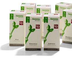 AGNOCASTO MACERATO GLICERICO 50 ML - farmanauta.it