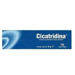 CICATRIDINA POMATA 30 G - farmanauta.it
