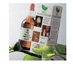 BETULA VERRUCOSA MACERATO GLICERICO 100 ML - farmanauta.it