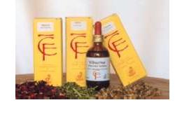 QUERCIA GEMME 50ML MG - farmanauta.it