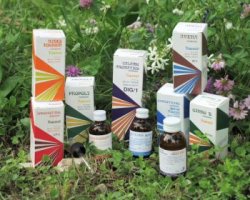 RAEMIL SALVIA MACERATO IDROALCOLICO COMP 50 ML - farmanauta.it