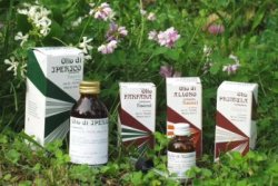 RAEMIL PROPOLI OLIO 25 ML - farmanauta.it