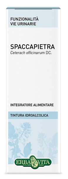 SPACCAPIETRA TINTURA IDROALCOLICA 50 ML EBV - farmanauta.it