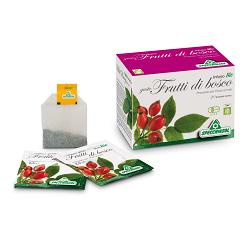 INFUSO BIO FRUTTA FRUTTI DI BOSCO 20 FILTRI - farmanauta.it