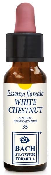 WHITE CHESTNUT ORIGINAL 10 ML - farmanauta.it