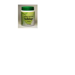 SOLIDAGO 60 CAPSULE - farmanauta.it