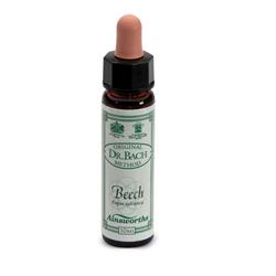 AINSWORTHS BEECH 10ML - farmanauta.it