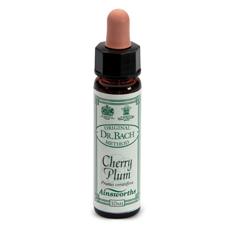 AINSWORTHS CHERRY PLUM 10ML - farmanauta.it