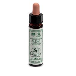 AINSWORTHS RED CHESTNUT 10ML - farmanauta.it