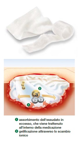 MEDICAZIONE STERILE IN ALGINATO DI CALCIO COMPRESSA SUPRASORB A ALTAMENTE ASSORBENTE 10X10 CM 10 PEZZI - farmanauta.it