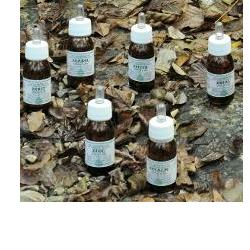 KA PLANTA OLIO MASSAGGIO 30 ML - farmanauta.it