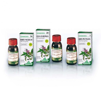 GEMMOSOL 46 TIGLIO ARGEN 50ML - farmanauta.it