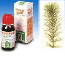 EQUISETO 12 50ML TM - farmanauta.it