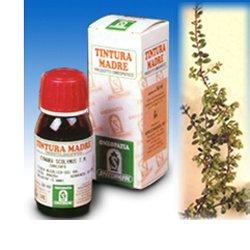 UVA URSINA 30 50ML TM - farmanauta.it