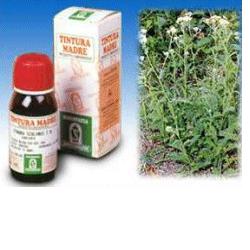 ACHILLEA 51 50ML TM - farmanauta.it