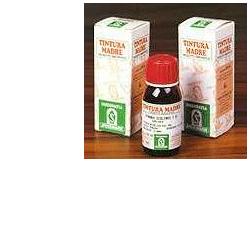 ERISIMO 61 50ML TM - farmanauta.it