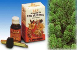 PINO SILVESTRE OLIO ESSENZIALE PURO 10 ML - farmanauta.it