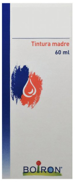 THUYA OCCIDENTALIS TINTURA MADRE 60 ML - farmanauta.it