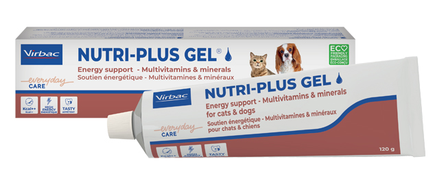 NUTRIPLUS GEL PASTA ORALE 120 G - farmanauta.it