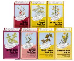 TARASSACO TISANA 15 FILTRI BIO - farmanauta.it