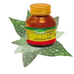CARTILAGINE DI SQUALO 60 CAPSULE - farmanauta.it