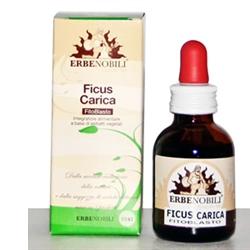 FITOBLASTO FICUS CARICA 50 ML - farmanauta.it