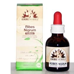 FITOBLASTO RIBES NIGRUM 50 ML - farmanauta.it