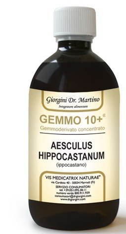 GEMOO 10+ GEMMODERIVATO CONCENTRATO IPPOCASTANO LIQUIDO ANALCOLICO AESCULUS HIPPOCASTANUM IPPOCASTANO 500 ML - farmanauta.it