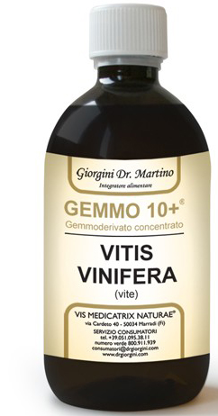 GEMMO 10+ VITE LIQUIDO ANALCOLICO 100 ML - farmanauta.it