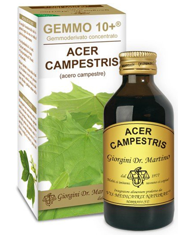 GEMMO 10+ ACERO CAMPESTRE 100 ML LIQUIDO ANALCOLICO - farmanauta.it