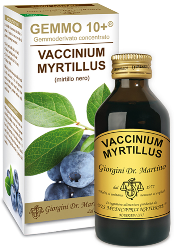 GEMMO 10+ GEMMODERIVATO CONCENTRATO VACCINIUM MYRTILLUS MIRTILLO NERO SENZA ALCOOL 100 ML - farmanauta.it