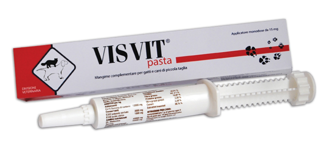 VISVIT PASTA OS SIRINGA 15 G - farmanauta.it