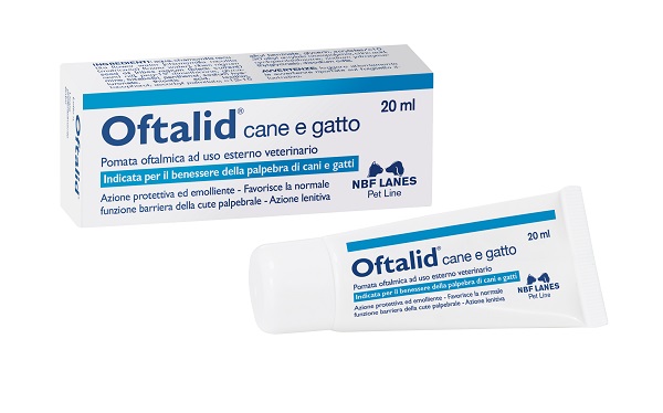 OFTALID POMATA OFTALMICA 20 ML - farmanauta.it