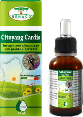 CITOYANG CARDIS GOCCE 50 ML - farmanauta.it