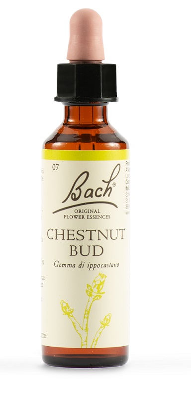 CHESTNUT BUD BACH ORIG 20 ML - farmanauta.it