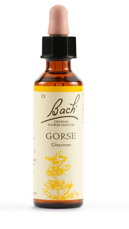 GORSE BACH ORIG 20 ML - farmanauta.it