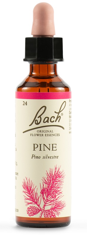 PINE BACH ORIG 20 ML - farmanauta.it