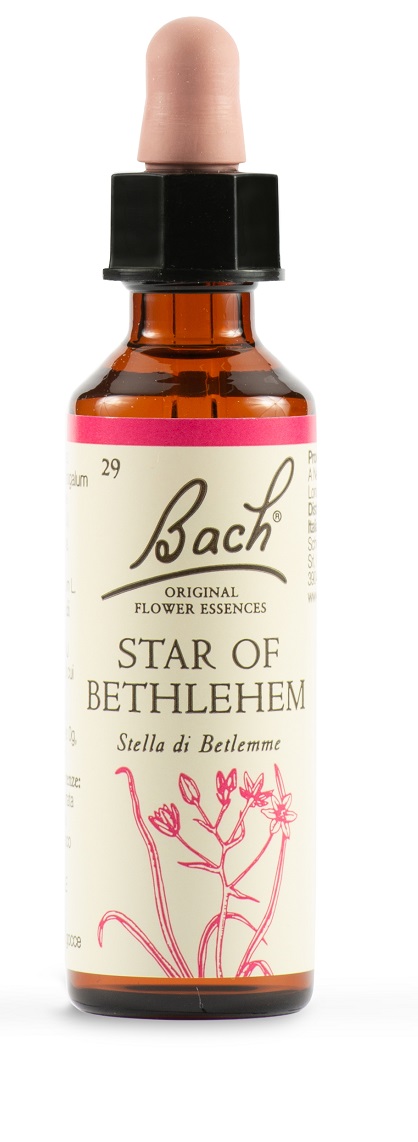 STAR OF BETHL ORIG 20 ML - farmanauta.it