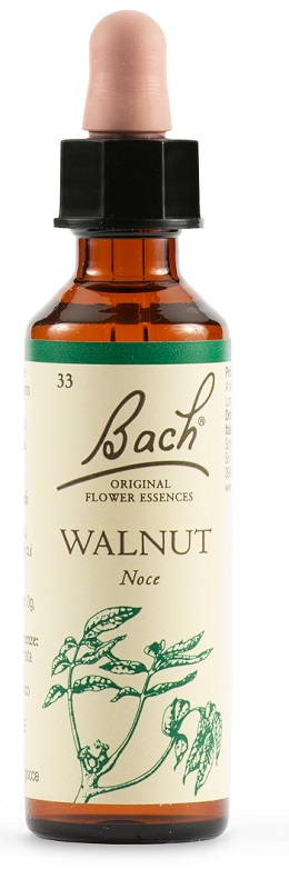 WALNUT BACH ORIG 20 ML - farmanauta.it