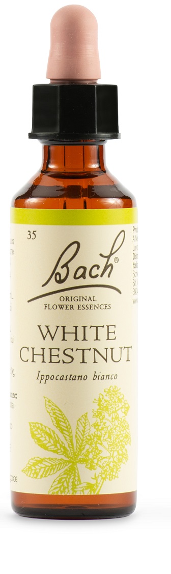WHITE CHEST BACH ORIG 20 ML - farmanauta.it
