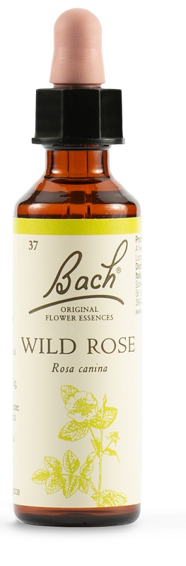 WILD ROSE BACH ORIG 20 ML - farmanauta.it