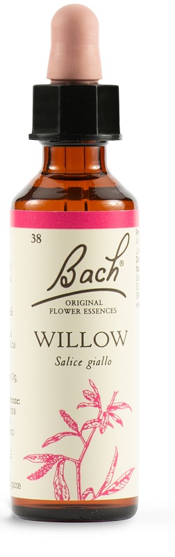 WILLOW BACH ORIG 20 ML - farmanauta.it