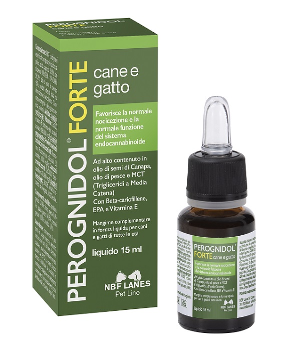 PEROGNIDOL FORTE 15 ML - farmanauta.it