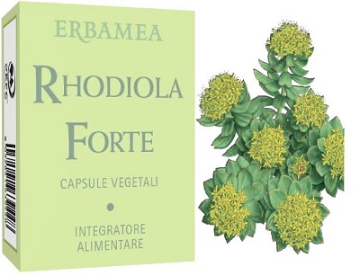 RHODIOLA FORTE 24 CAPSULE - farmanauta.it