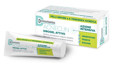 DERMOVITAMINA ACNECLIN IDROGEL 40 ML - farmanauta.it