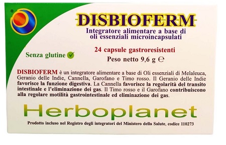 DISBIOFERM 24 CAPSULE - farmanauta.it