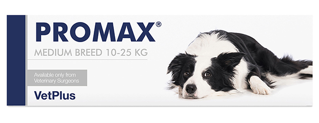 PROMAX MEDIUM BREED 18 ML - farmanauta.it