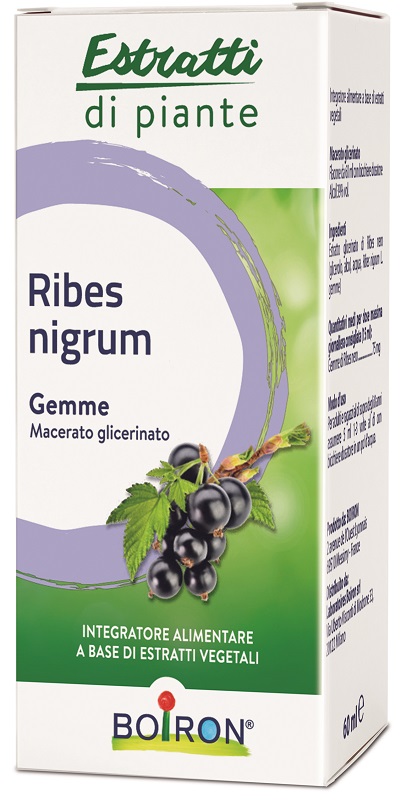 RIBES NIGRUM MACERATO GLICERICO 60 ML INT - farmanauta.it